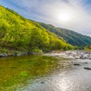 명지펜션 이미지