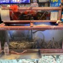 비디오일번지 이미지