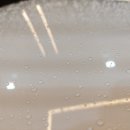 워시랜드 이미지