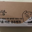 온수움 이미지