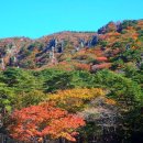 28산우회 11월 제주 여행 (한라산& 명소관광) 이미지