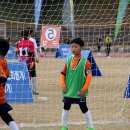 청양공설운동장 이미지