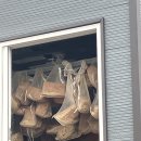 마니산 산채 이미지