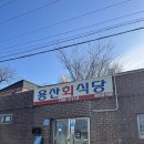 용산-현장-748 | [경주] 용산회식당, 로컬 회덮밥 찐맛집! 주말 웨이팅 후기. 여전히 친절한 사장님 ..♡