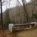 태백고원 700 산소길 이미지