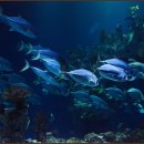 통영휘트니스 이미지