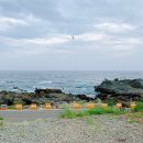 참마트(죽도점) | [포항썬빌리지오토캠핑장] 경북 포항 바다뷰 캠핑장, 동해 캠핑장