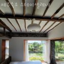 제주숙소스테이셀레네 | 제주도펜션 제주숙소 스테이셀레네 5월 국내여행 제주도 가볼만한곳 가까운 숙소