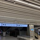 펫인더파크 | 김포공항 펫파크 위치, 운영시간, 후기