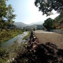 금산농장 2 이미지