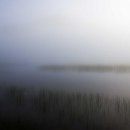 Morning Lake 이미지