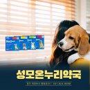 성모온누리약국 이미지