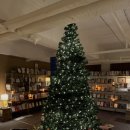 숲소리 북카페 | [용산] 블루도어북스 :: 한남동 북카페 이태원 책방