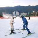 비발디 | 홍천 비발디파크 스키강습 예약 후기