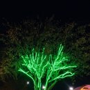 평창한우마을 면온점 이미지