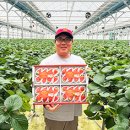 한국해외농업개발주식회사 이미지