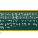 (주)게임메카 이미지