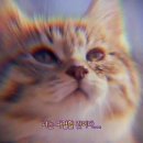 유앤유외과의원 이미지