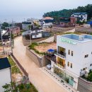 달봉이네애견 네이버블로그