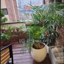 구암동124 이미지