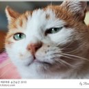 그루밍봄 이미지