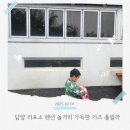 리포소 풀빌라 | 담양 풀빌라 리포소 펜션 놀거리 가득한 키즈 풀빌라