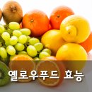 푸드와이즈 이미지