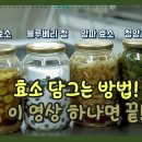 양파,생강,블루베리,청양고추 청까지, 효소 만드는 방법 한편에 정리! 이미지