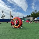 북평초등학교 이미지