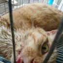 백암동물병원 이미지