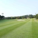 그랜드CC(회원제) 이미지