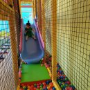 나무와꿈어린이집 이미지