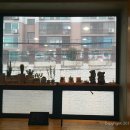 도그 아지트 이미지