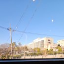 성산구 창이대로689번길 4-4 스타벅스 창원사파점 앞 | 스타벅스 2026 겨울 신메뉴 디카페인 더블 에스프레소 크림라떼 덜달게 커스텀 후기 : 스타벅스 창원사파점