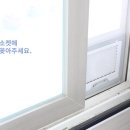 파파시스템
