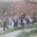 쑤니네 농장 이미지