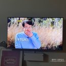 MLB포천점 | 2024 반얀트리 딸기뷔페 + 포천 아도니스CC 첫 봄 라운딩, 멜희일상