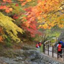 (주)레이크힐스호텔 이미지