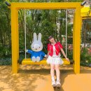 후쿠오카 근교 소도시 여행 하우스텐보스 입장권 미피 테마파크 후기
