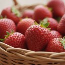 지혜농장 | 서천 별꽃농장, 방문객 체험 후기 폭발시킨 농장주 부부의 3가지 비결