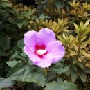 창2노래연습장 이미지