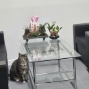 주식회사 세인 이미지