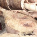 새집만석꾼 이미지