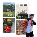 적성시골된장 | 김천농활단 | 도시 청년들의 농촌 일손 돕기
