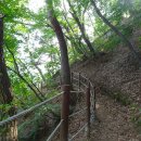 원주굽이길 17코스 동화마을진달래길 이미지