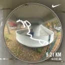 양정카서비스 | 패기로운 미국 동부 5일/ 일주일 식단일기W46