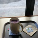 포항시북구82 | [포항 카페] 녹앤모어커피하우스ㅣ도심 속 작은 숲 내돈내산 후기