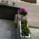 더하우스민박 이미지