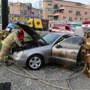 이배재로 이미지