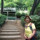 이화약국 Daum카페